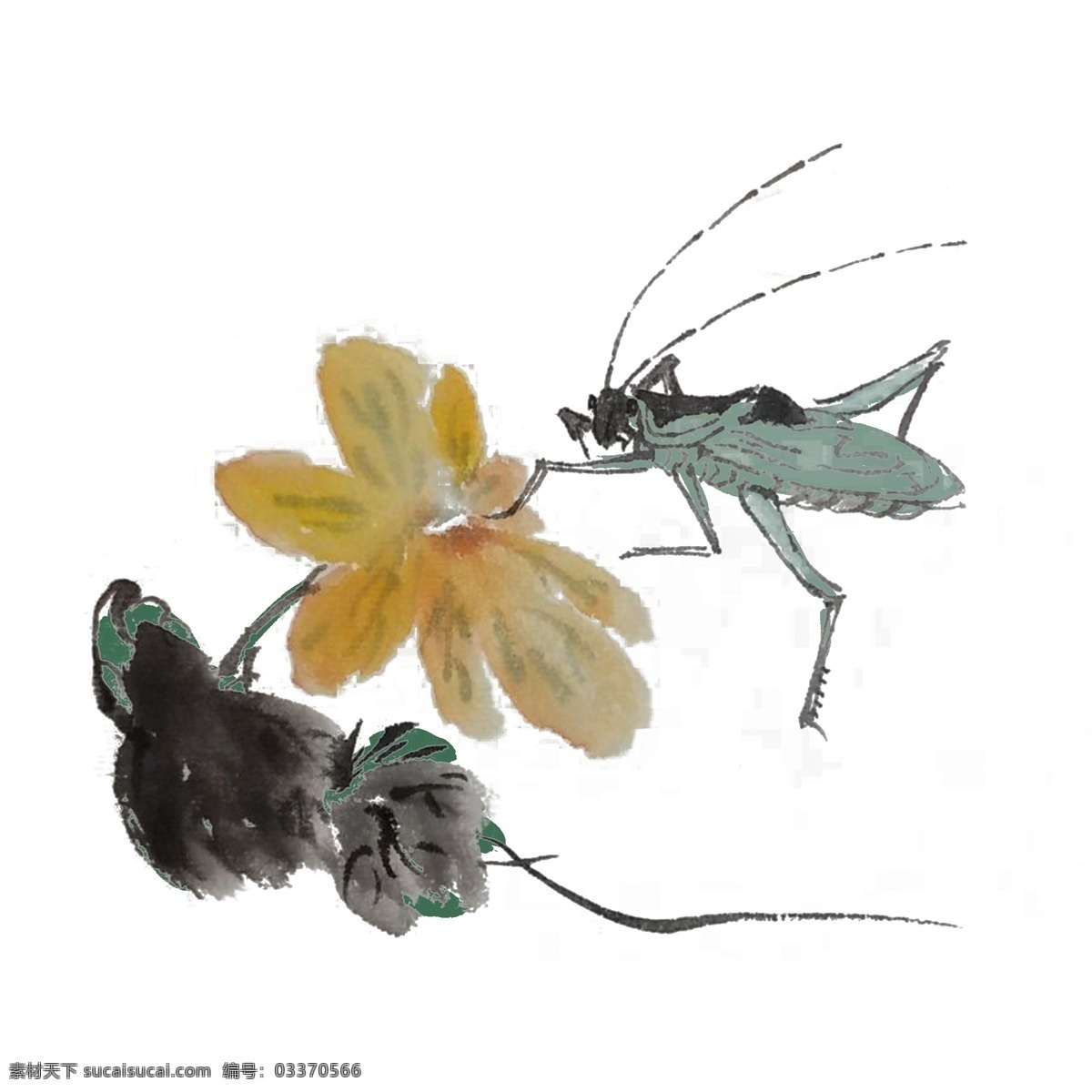 夏天 蛐蛐 手绘 插画 花鸟 浓墨 中国风 古风 水墨风 墨迹 黑白 春天 生动 花草 国风 水墨 国画