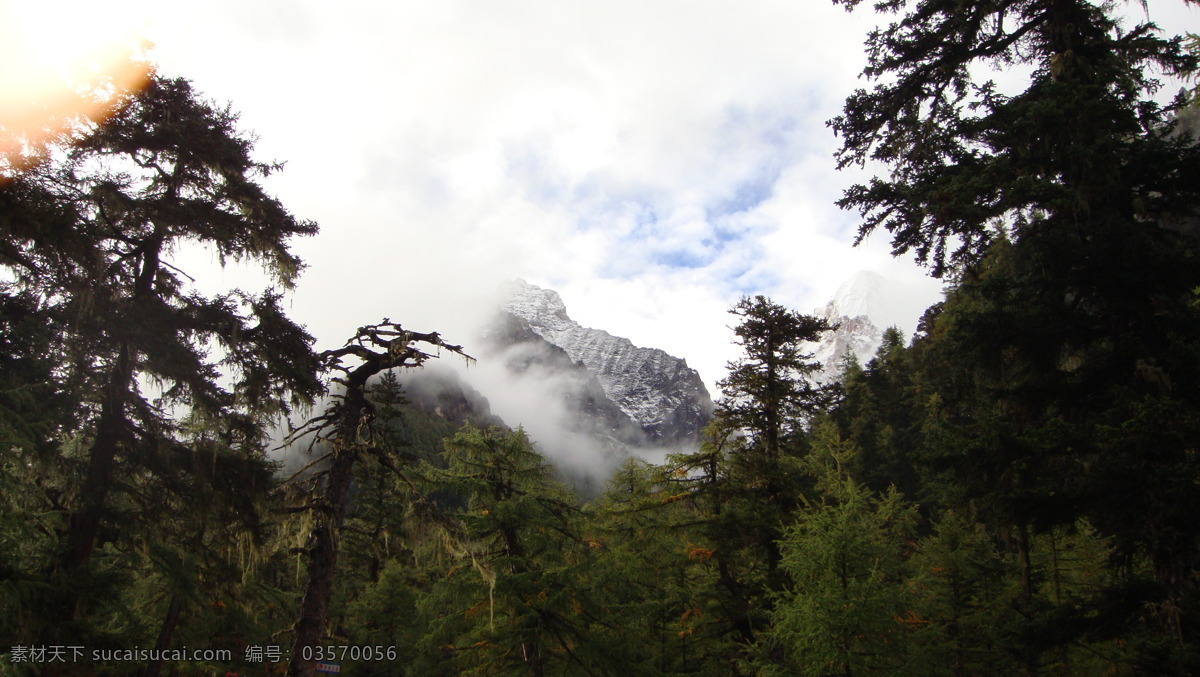 白云 草地 风景 风景画 景观 蓝天白云 旅游胜地 山 风景图片 天空 树 山水 云 自然风景 摄影类 山水风景 自然景观 家居装饰素材 山水风景画