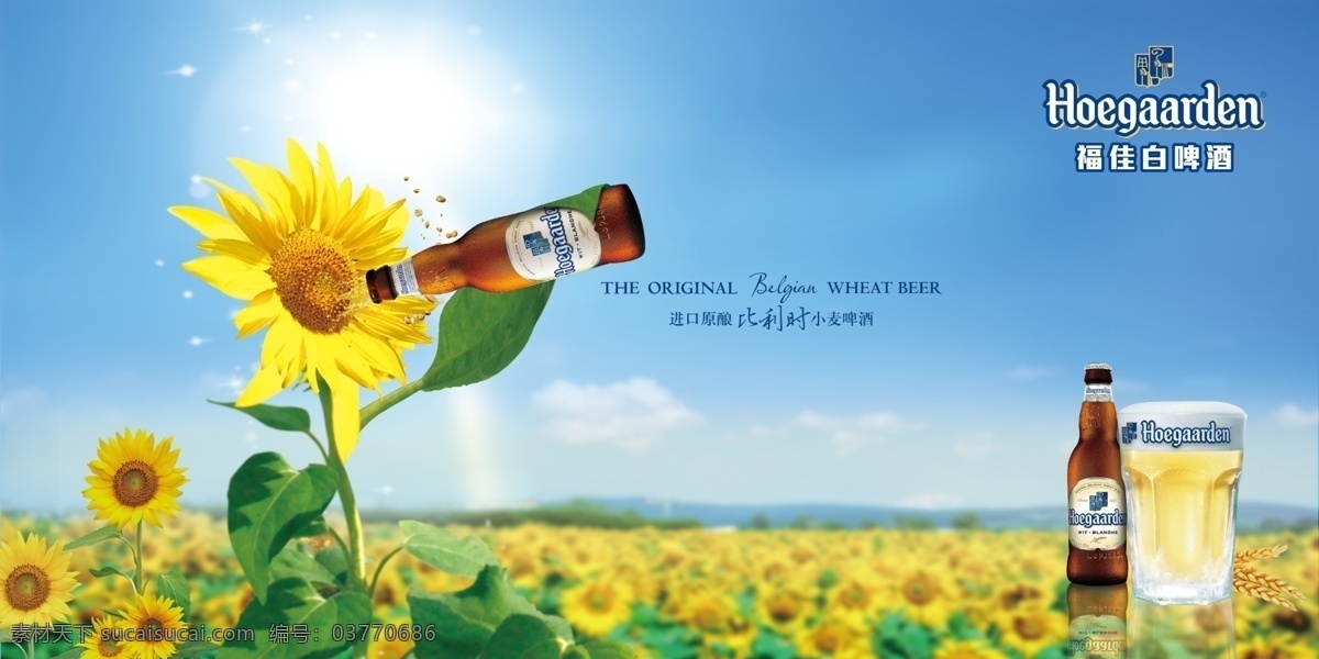 福 佳 白 啤酒 海报 主 视觉 福佳 向日葵 蓝色 清爽 夏天 创意