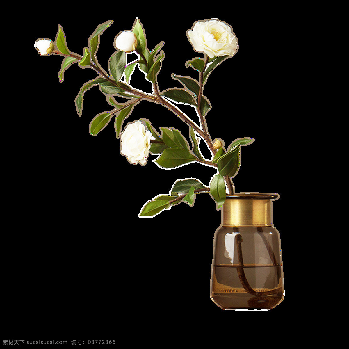 摆放 清新 花卉 卡通 透明 花瓶 摆件 透明素材 装饰 设计素材 淘宝素材 海报设计装饰 装饰图案