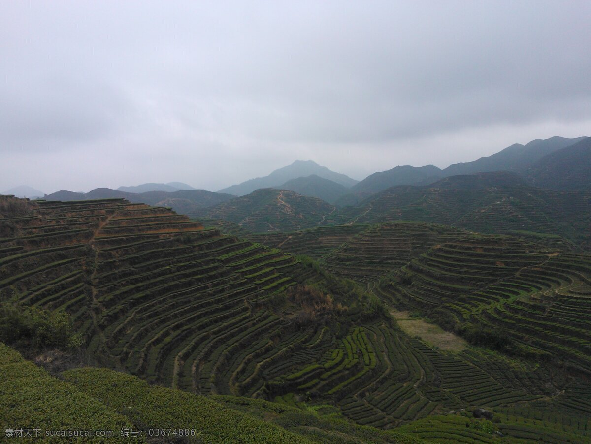 高山 云雾 铁观音 安溪 茶叶 茶园 自然风景 自然景观