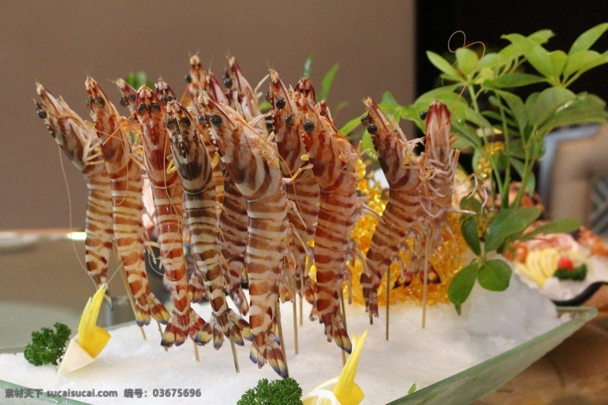 虾 大九节虾 火锅素材 海鲜 活海鲜 美味虾 餐饮美食 传统美食