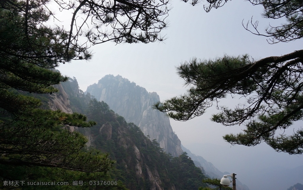 安徽黄山 黄山 黄山风景 安徽风景 安徽风光 黄山景观 黄山风景区 树木 高山 群山 安徽 安微黄山宏村 旅游摄影 自然风景