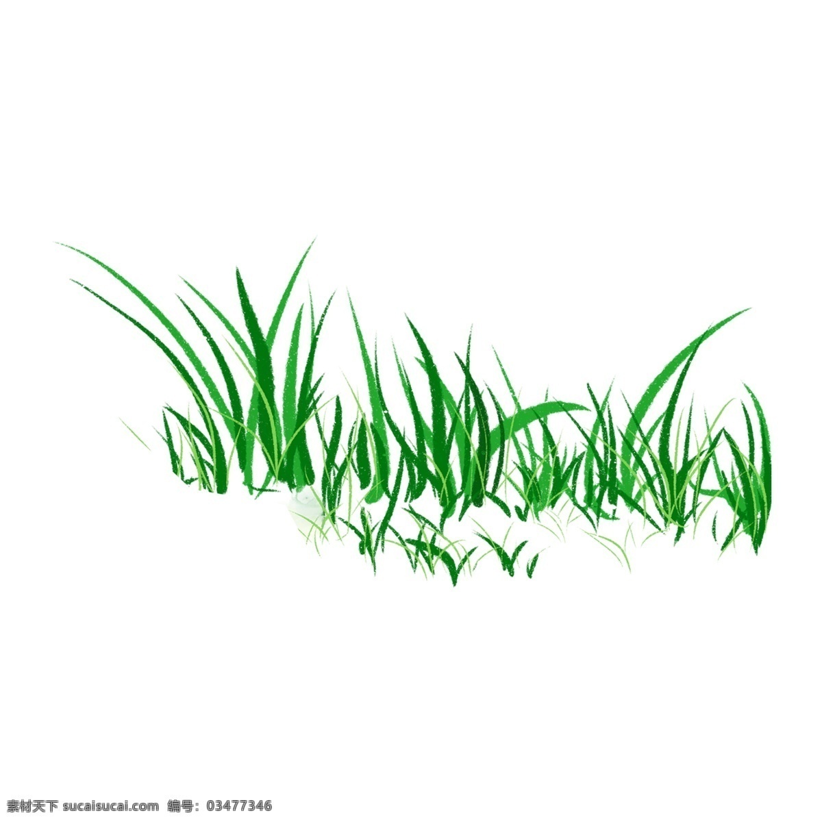 小 清新 草地 植物 免 抠 图 免扣素材 透明素材 卡通素材 可爱