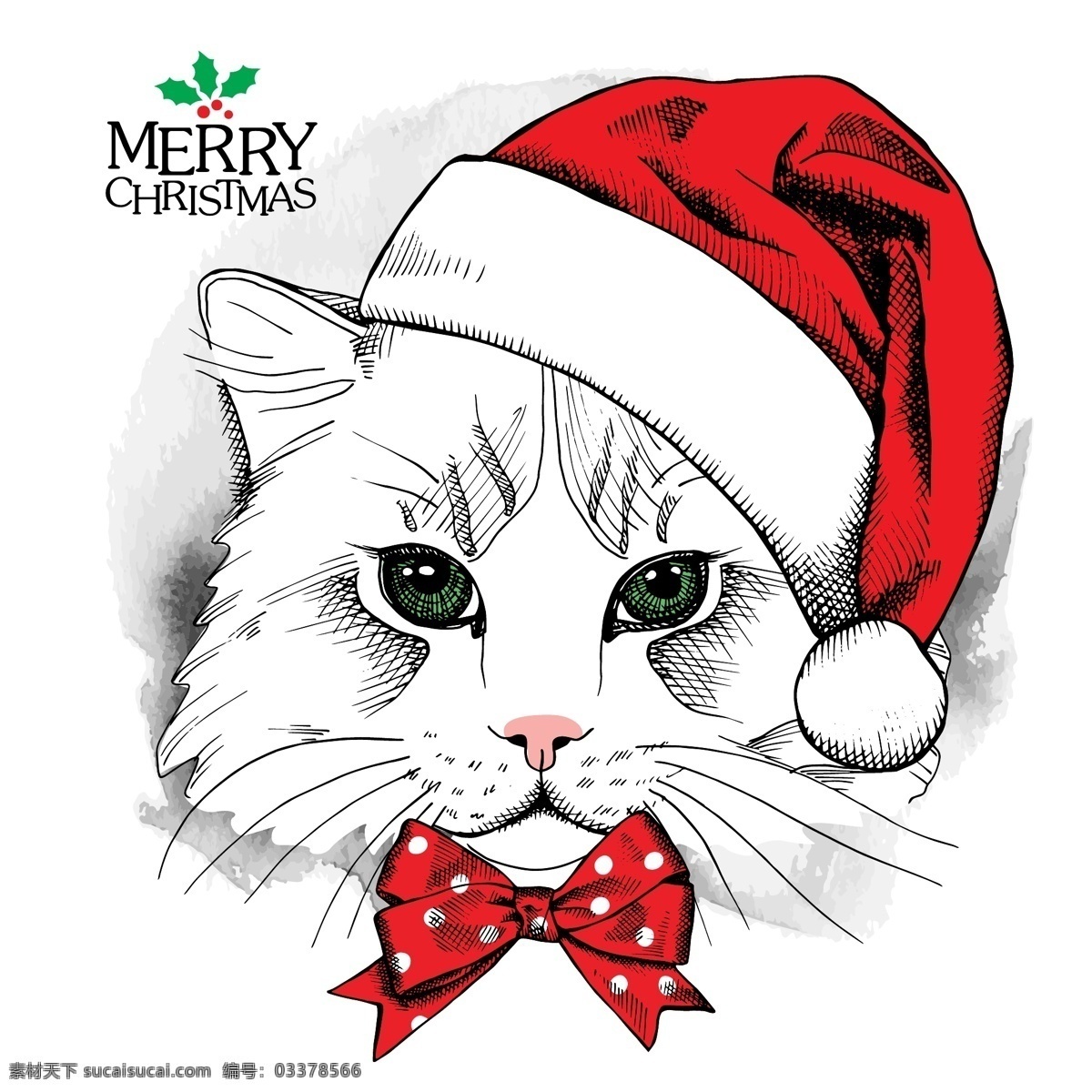 戴 圣诞 帽子 小猫 插画 动物 蝴蝶结 卡通 可爱 圣诞帽 手绘