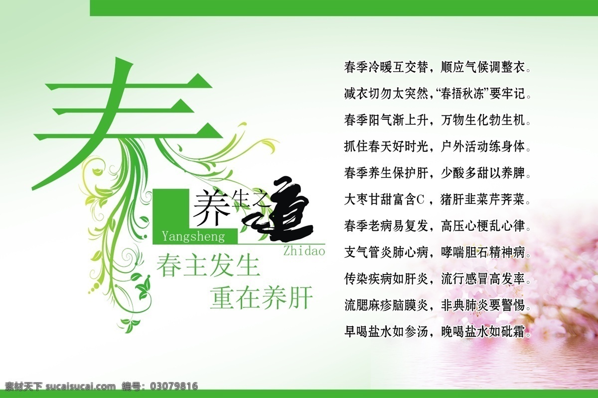 春季养生 春 春天 养生 养生之道 展板 花 鲜花 活动室展板 老年活动室 活动室 展板模板 广告设计模板 源文件