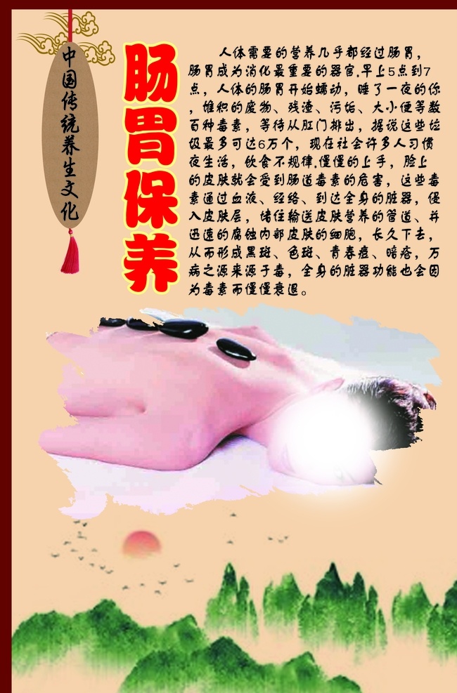 中华 传统 养生 文化 肠胃 保养 肠胃保养 传 展板模板