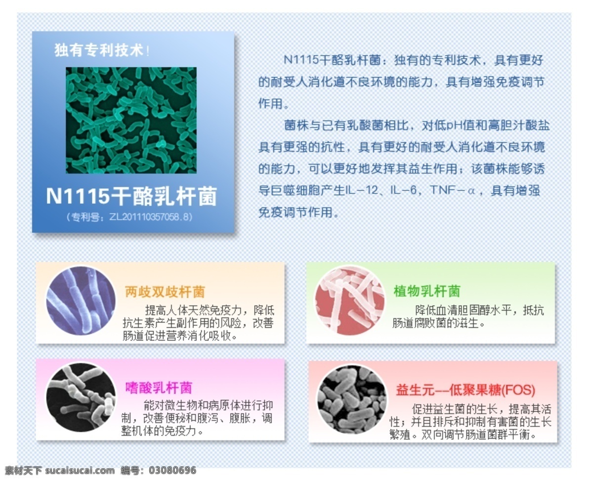 其他模板 酸奶 淘宝 网页模板 详情 源文件 益生 菌 介绍 模板下载 益生菌介绍 益生菌 乳酸菌 网页素材