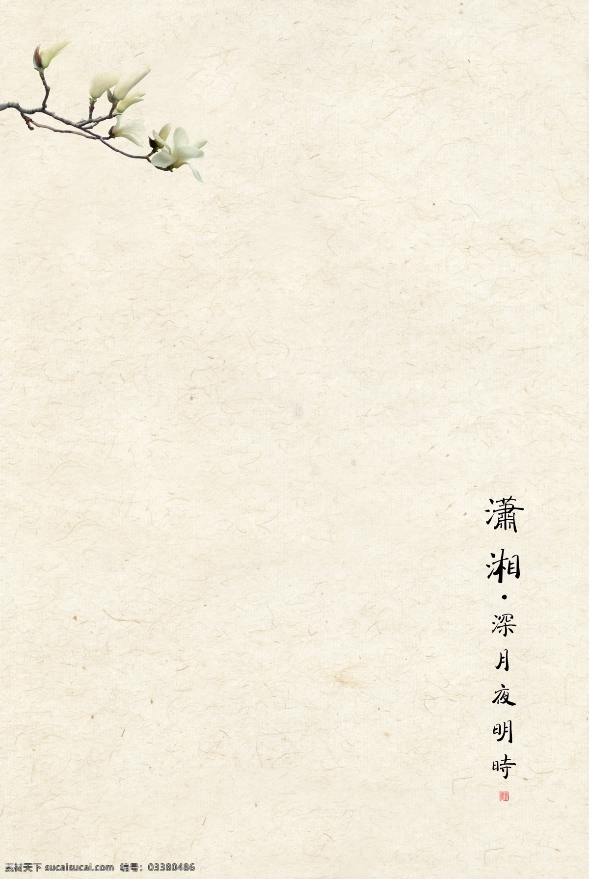传统 工笔画 宣纸 花卉 背景 中国风 古典 复古 宣布 画意 工笔画模板 工笔画背景 屏风画 手绘花鸟画 中国画 古典复古 风景画 新中式装饰画 水墨画 山水画