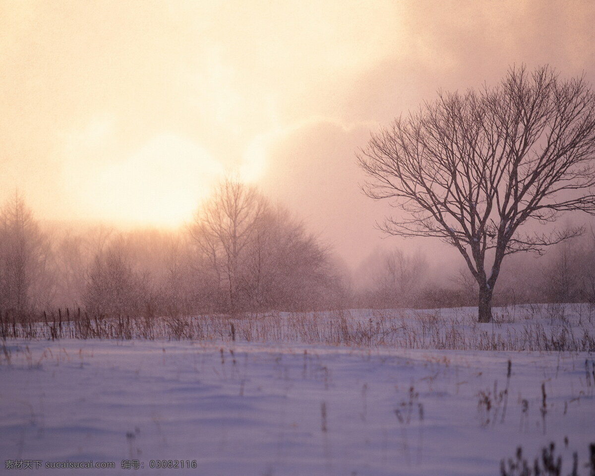 冬天 雪景 背景 冬天雪景 风光 风景 季节 摄影图库 自然 自然风景 自然景观 生活 旅游餐饮