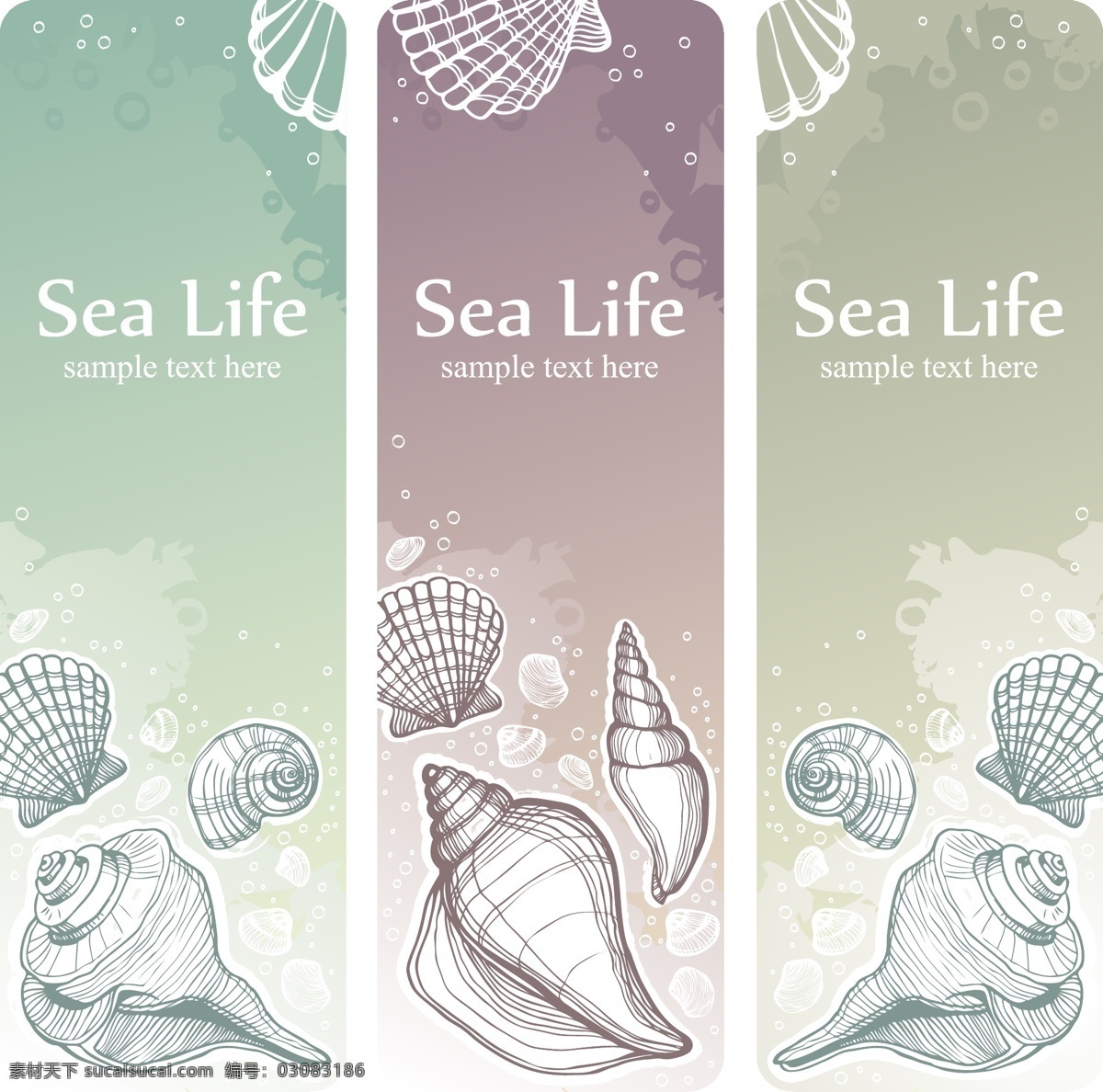 手绘 海洋 贝壳 复古素材 海洋素材 手绘素材 手绘海洋 复古海洋