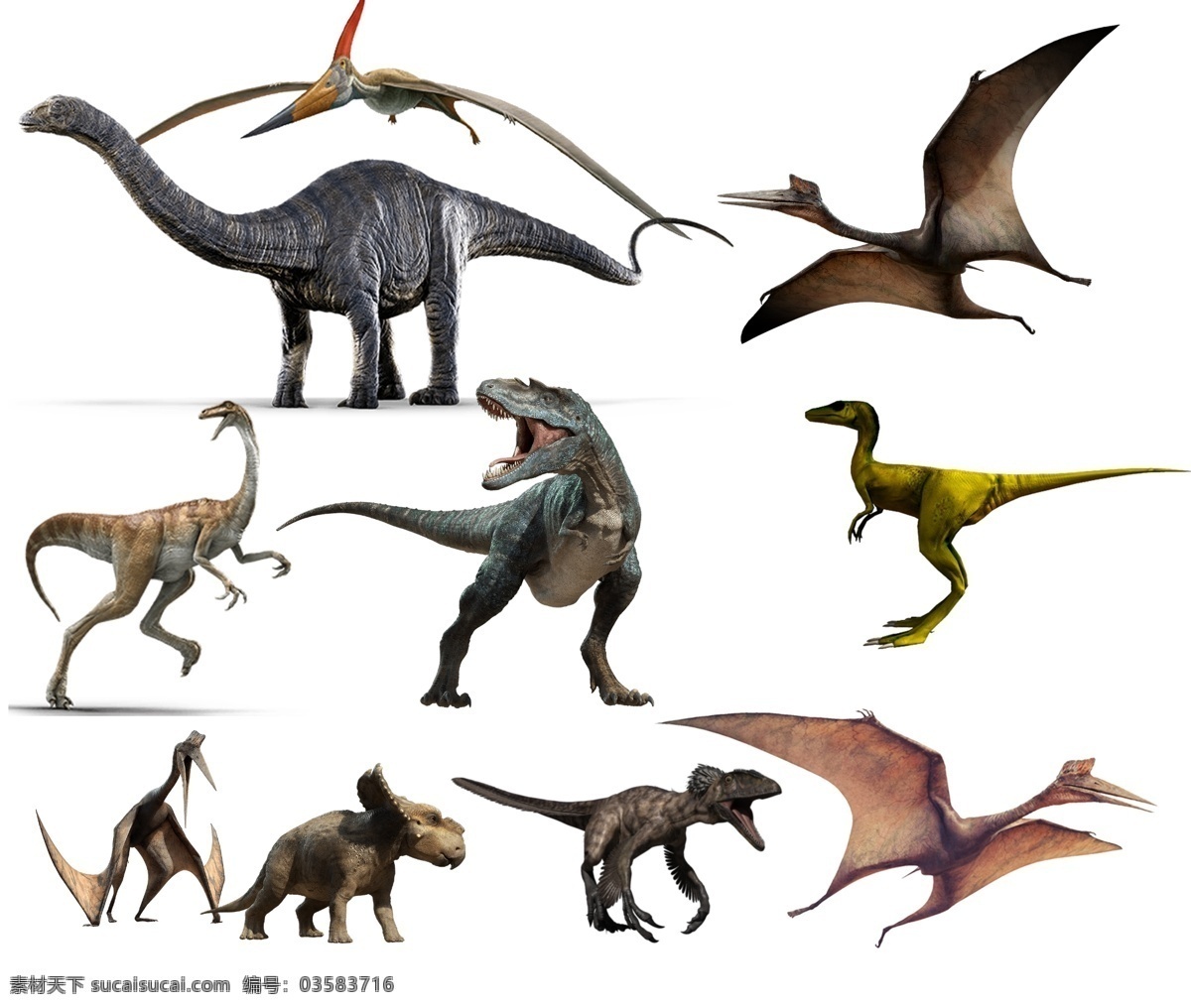 恐龙 分层 高清 dinosaurs 合计 翼龙 霸王龙 场景龙 飞龙 生物世界 野生动物