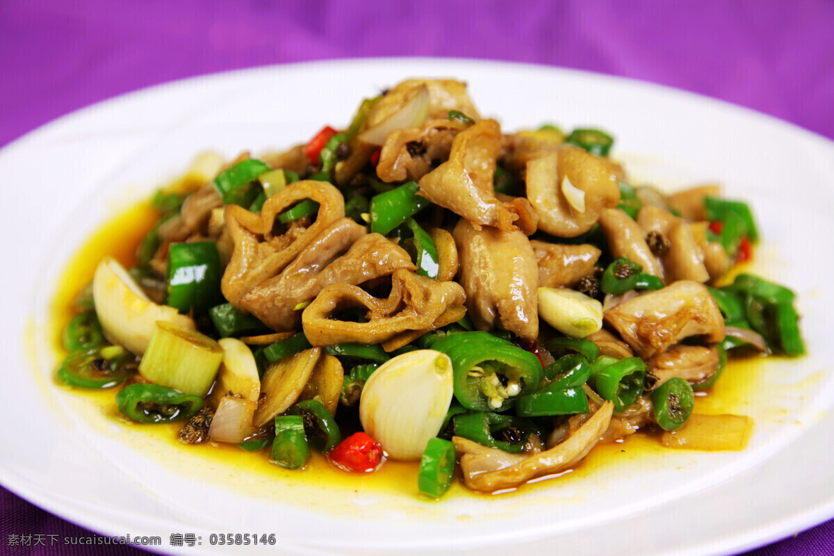 鲜椒肥肠 摄影图库 餐饮美食 菜品摄影 川菜 传统美食