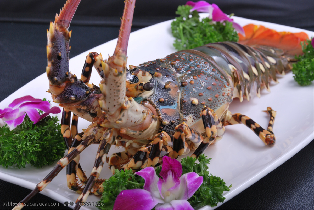 深海龙虾刺身 美食 传统美食 餐饮美食 高清菜谱用图