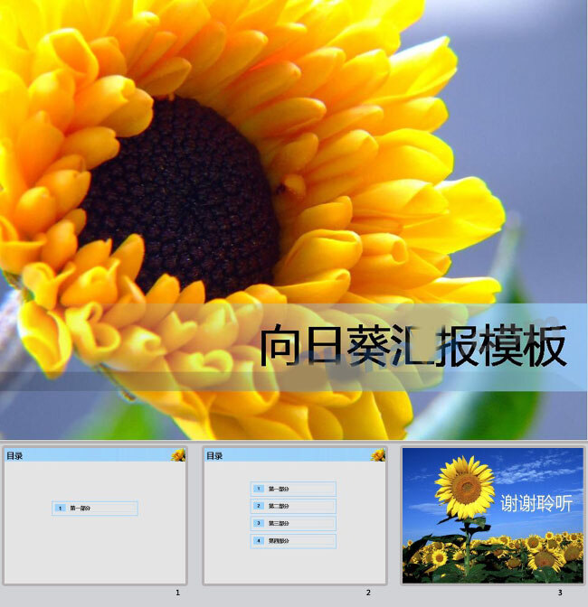 向日葵 模板 报告 汇报