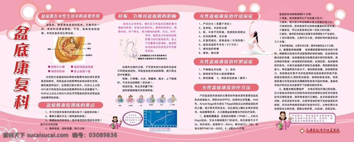 产后盆底康复 妇产科 孕产妇 盆底康复 产科 展板模板