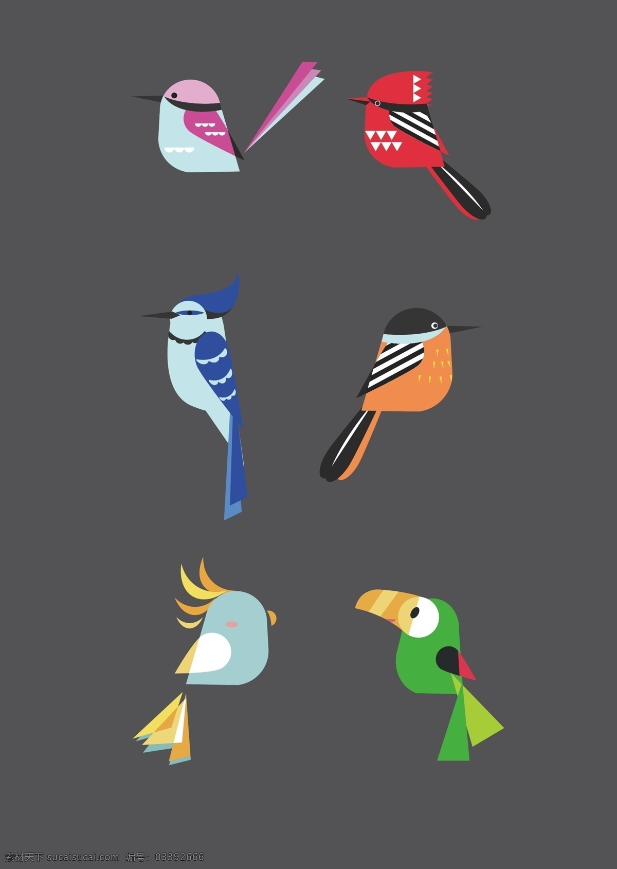 扁平 时尚 鸟类 插画 图案 鸟 色彩