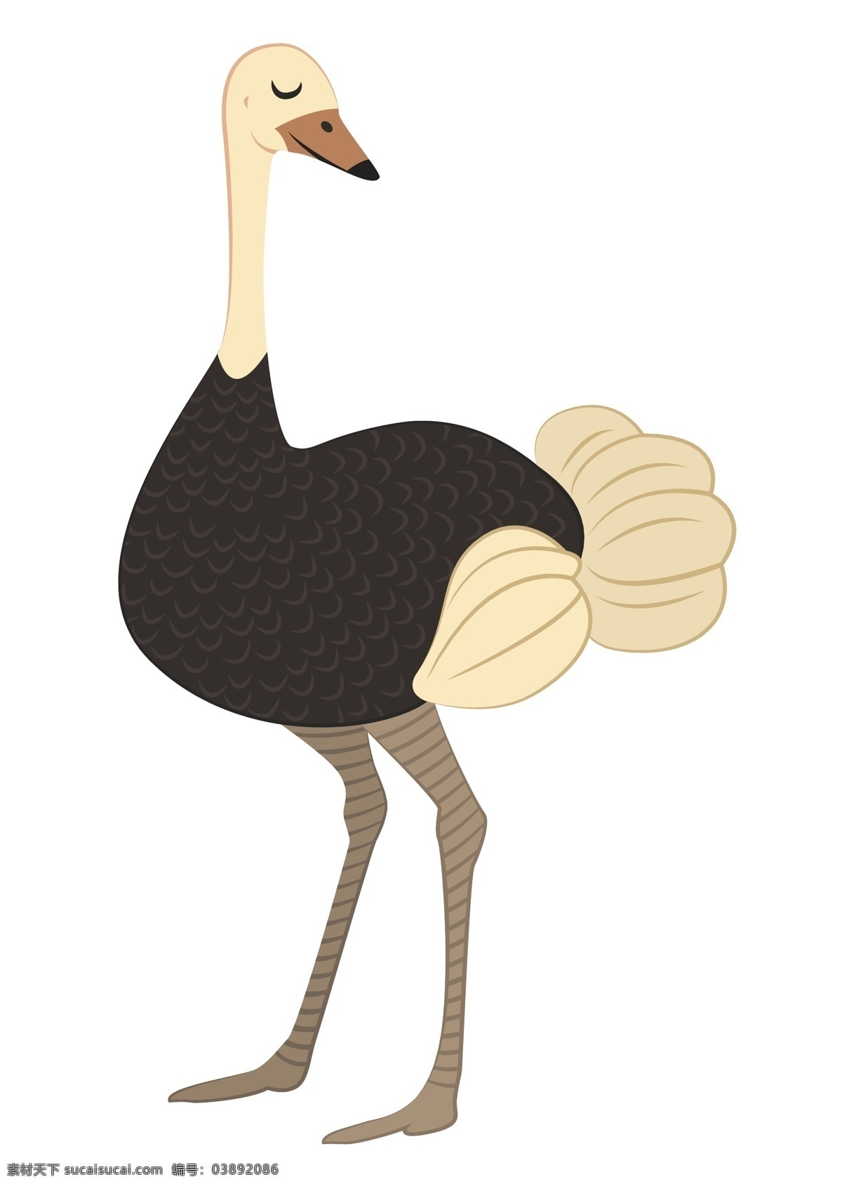 鸵鸟图片 鸵鸟 小动物 动物世界 生物世界 动物园 儿童读物 儿童画 插画 卡通 看图识物 图画书 幼儿园 小朋友 乐园 手绘 卡通动物 卡通设计