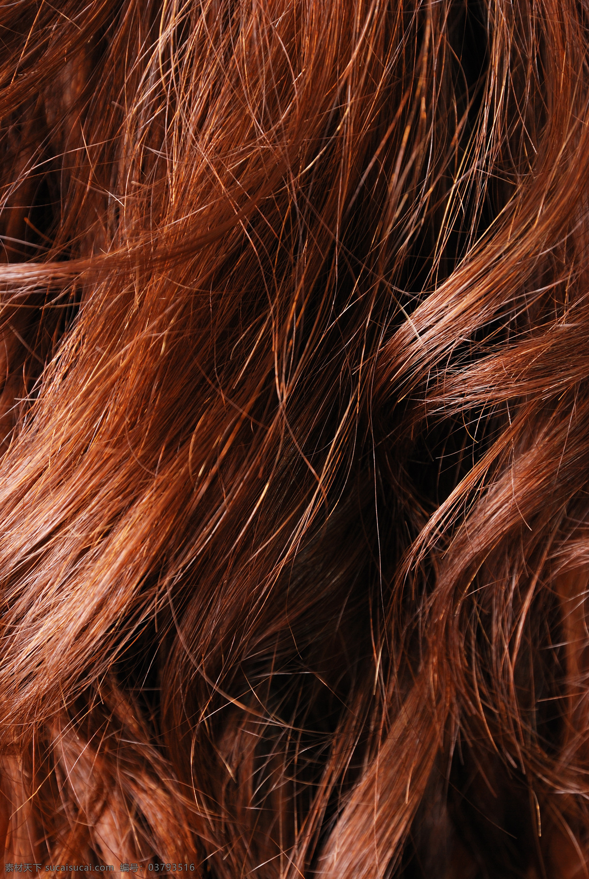 红色 头发 发丝 烫染 染发 秀发 红发 卷发 美发 发型 造型设计 摄影图 高清图片 人体器官图 人物图片