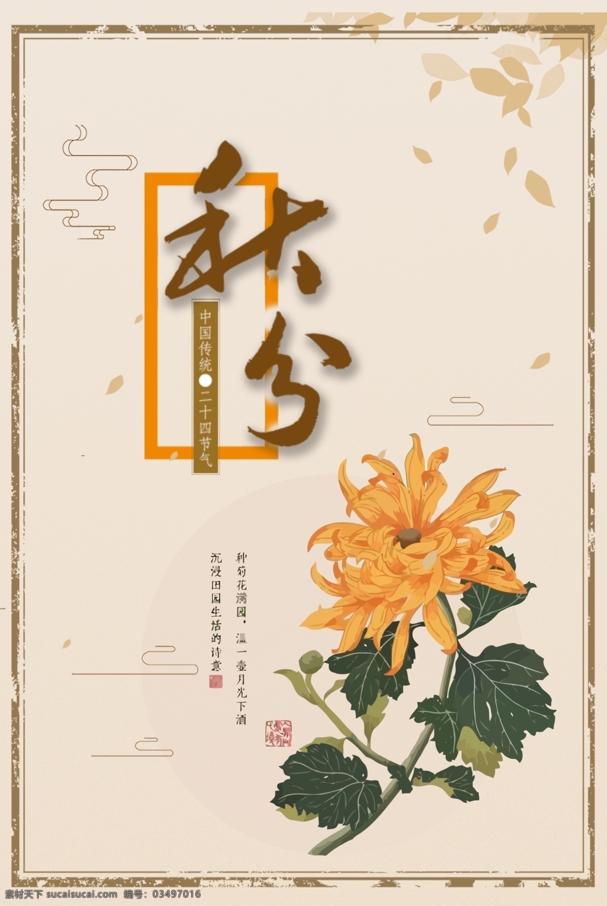 秋分 节气 传统 菊花 手绘 海报 展板 背景 二十四节气 传统节气 创意 节气海报