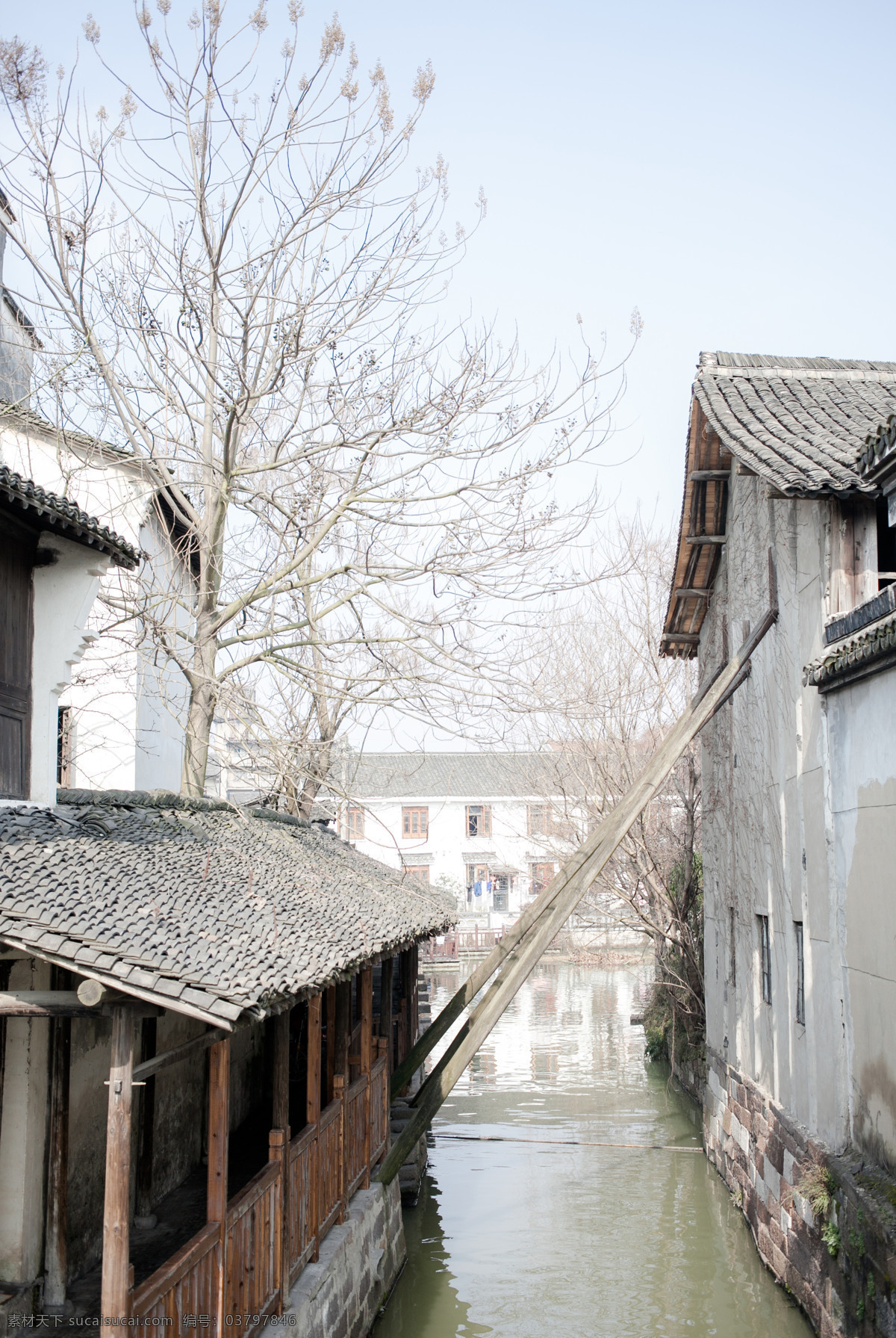 乌镇西栅风景 乌镇风景 乌镇水乡 浙江桐乡乌镇 乌镇西栅 乌镇建筑 浙江乌镇 景点景区 乌镇一角 江南水乡 传统建筑 古镇风光 浙江桐乡 西栅景区 旅游景点 江南古镇 乌镇风光 自然景观 风景名胜 旅游摄影 国内旅游