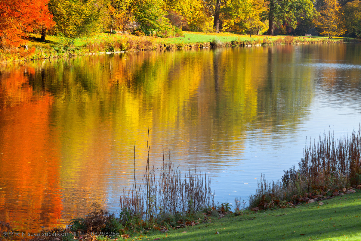 秋天河流风景 秋天风景 河流风景 秋季美景 美丽风景 美丽景色 自然美景 自然风景 自然景观 黄色