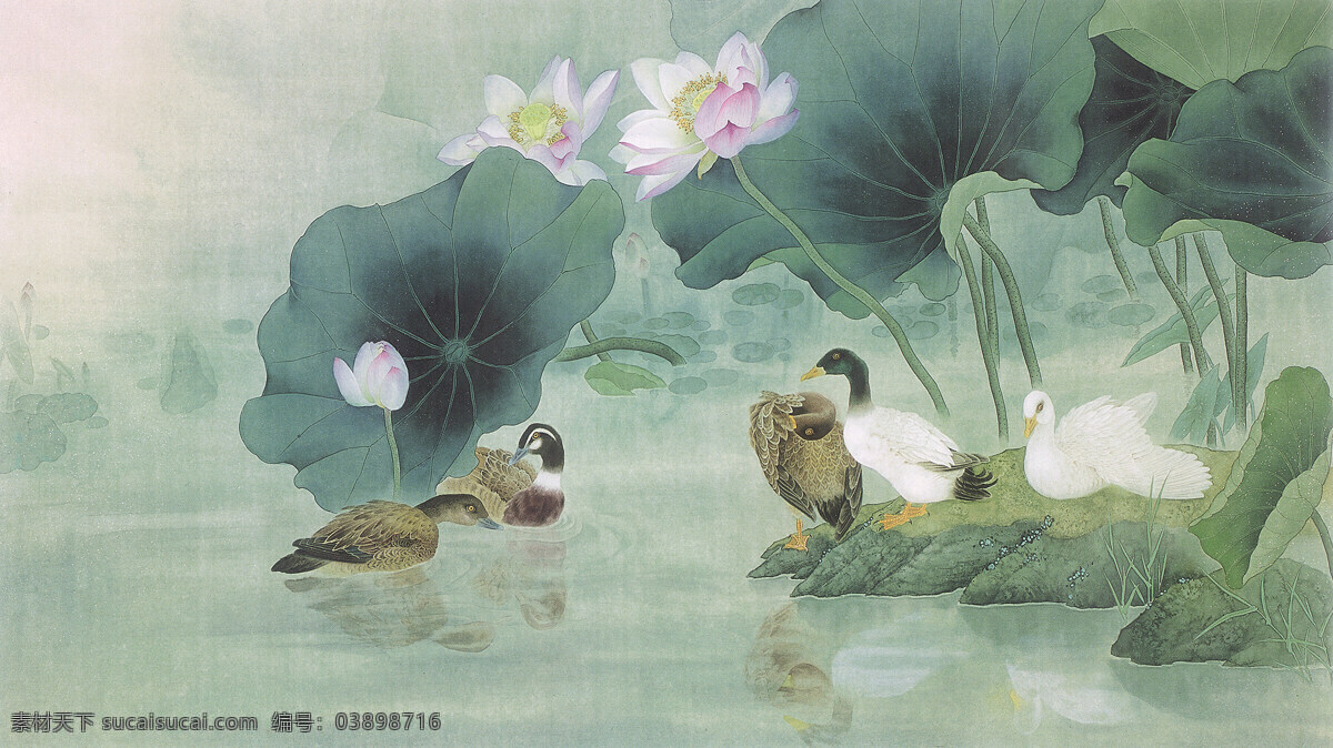 工笔 荷花 水鸟 图 鸭子 中国画 书画 花鸟图片 文化艺术 绘画书法