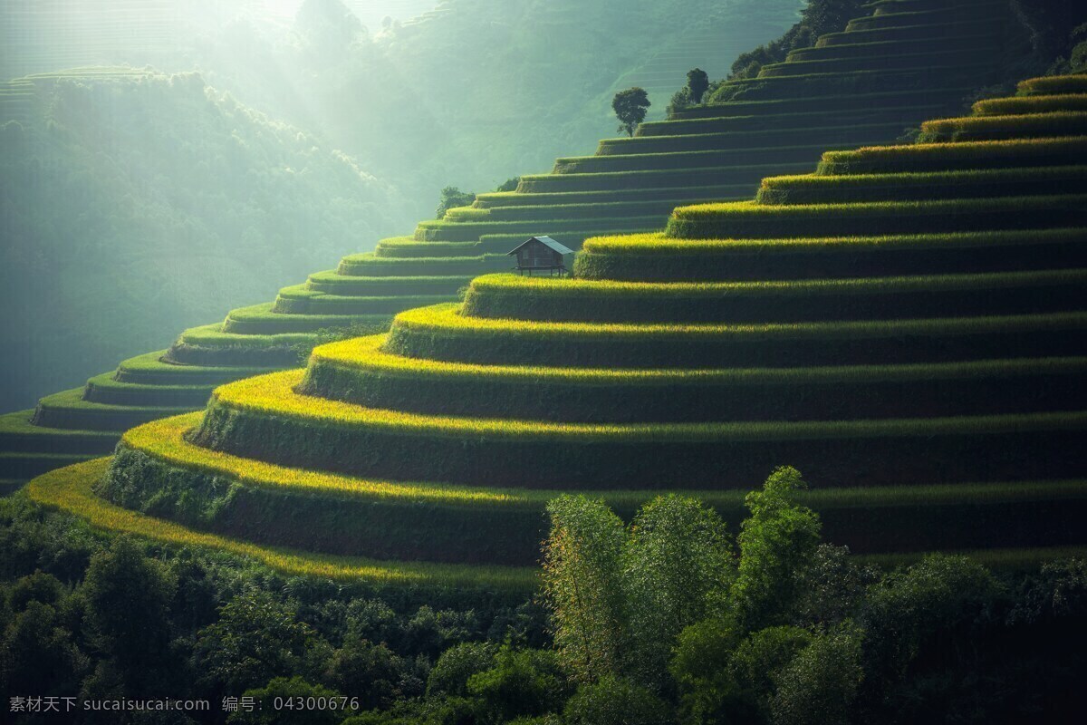 梯田 绿色 茶树 茶田 山峰 自然景观 自然风景