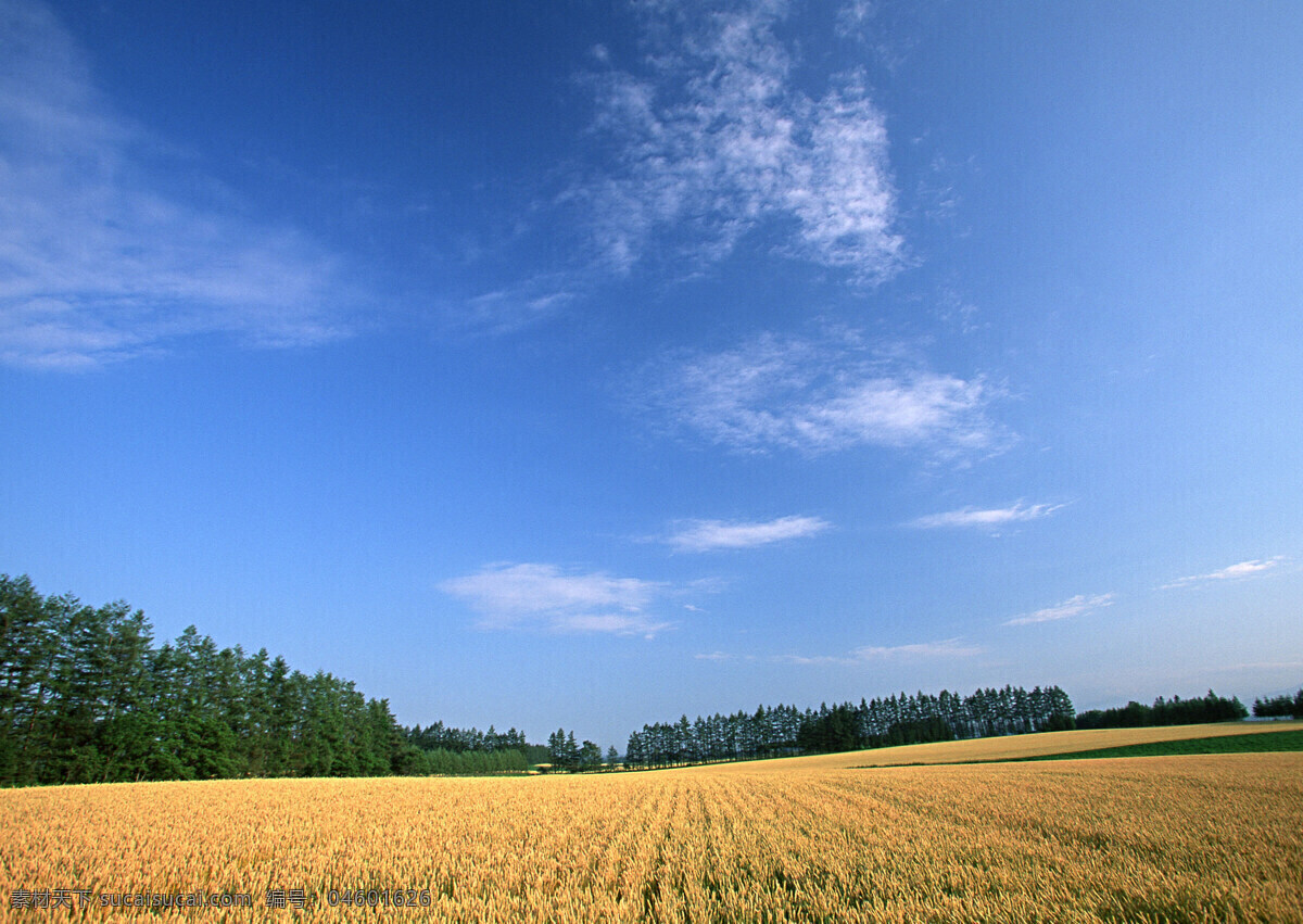 风景免费下载 风景 旷野 陆地 自然 生活 旅游餐饮