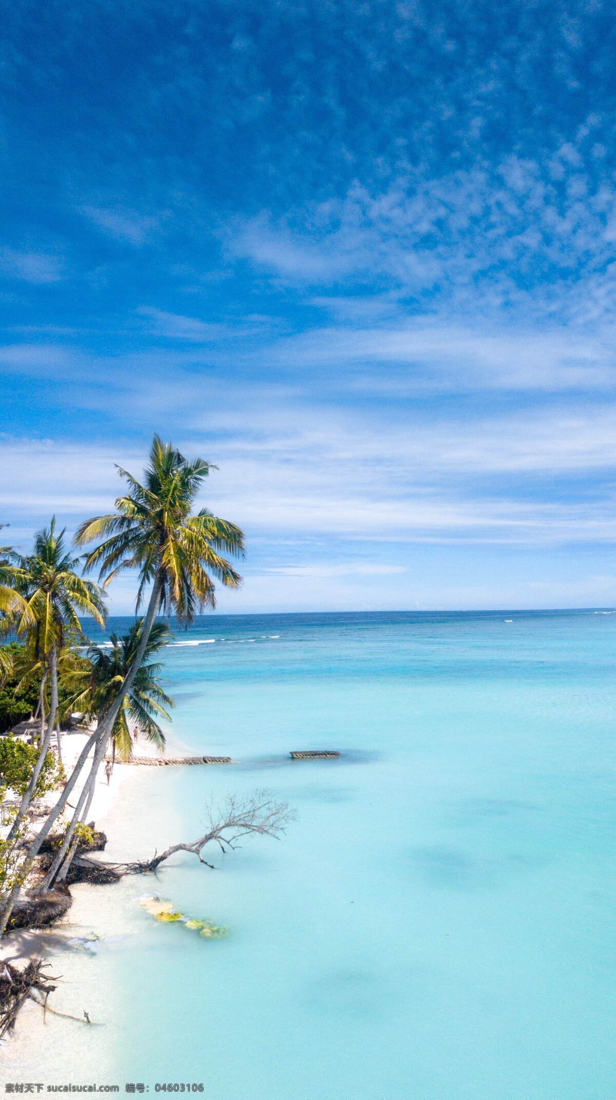 海滩 沙滩 椰子树 蓝色背景 蓝天白云 海边 大海 海景 唯美背景 清凉背景 风景 自然景观 自然风景