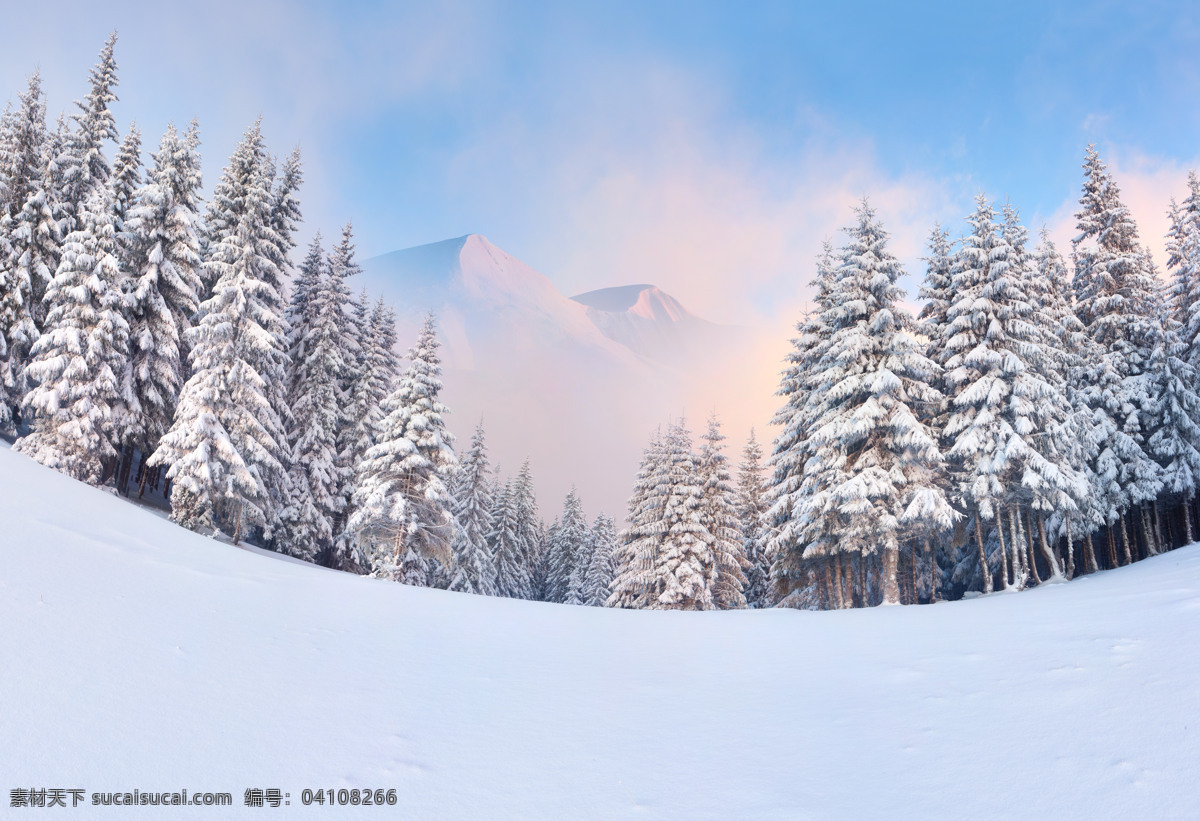 美丽 冬天 雪地 风景 冬天雪景 美丽冬天风景 冬季雪景 冬天的树林 树林风景 树木 山水风景 风景图片