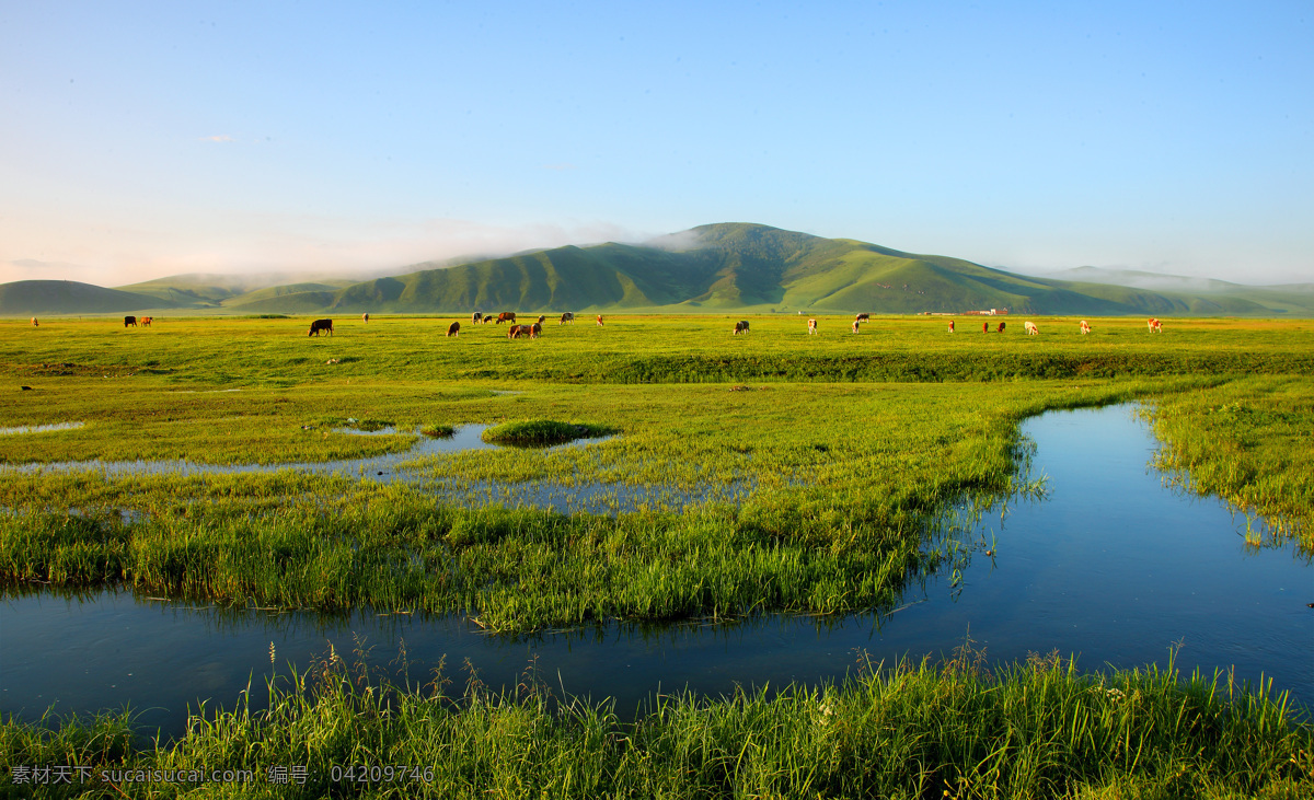 科尔沁草原 河流 内蒙古 科尔沁 草原 蓝天 自然风景 自然景观