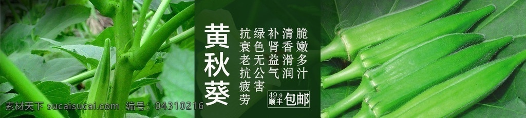 蔬菜秋葵海报 蔬菜海报 秋葵海报 秋葵 海报 客户服务 淘宝界面设计