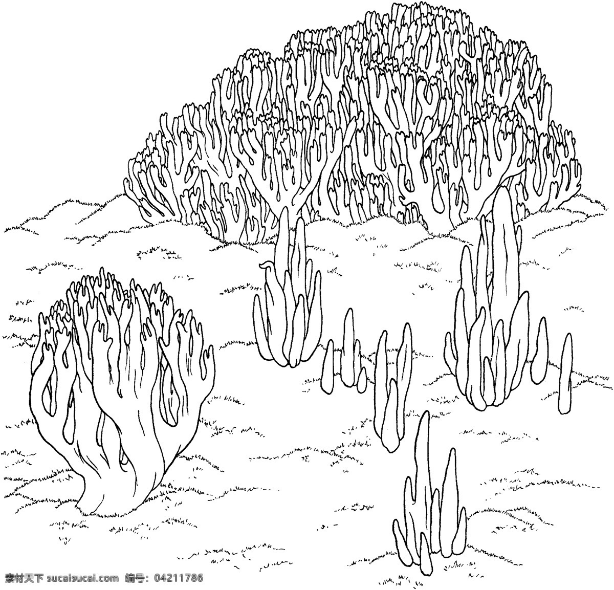 蘑菇 植物 菌类 静物素描 设计素材 静物专辑 素描速写 书画美术 白色