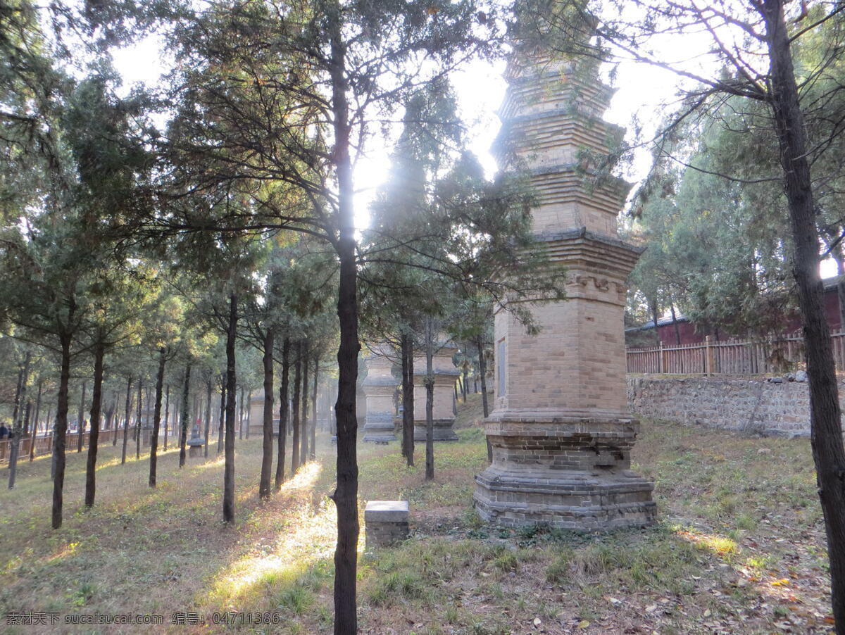 少林寺 塔林 景色 登封 少室山 柏树 少林寺风光 旅游摄影 国内旅游 灰色