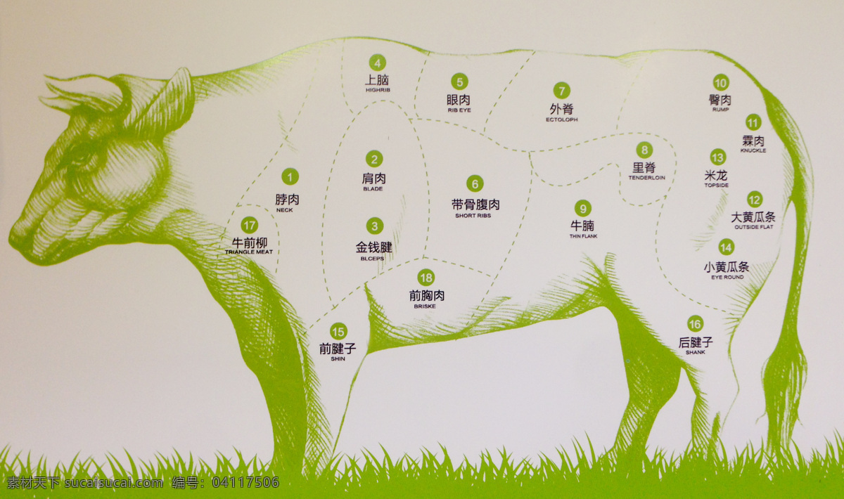 牛肉的分类图 牛肉 部位图 牛 分类 牛肉图 生活百科 生活素材