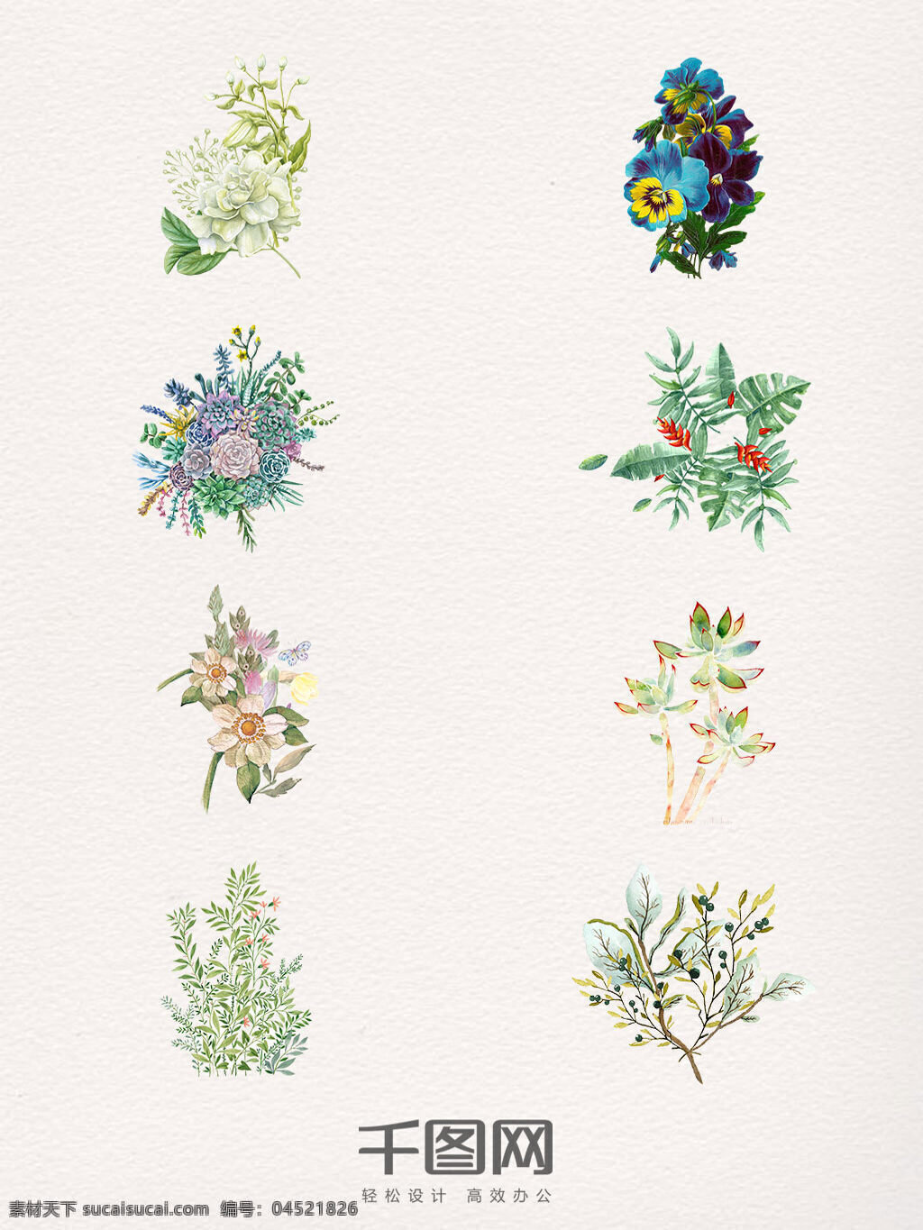 款 水彩 植物 各种 花草 水彩植物 绿色 叶子 红色 彩色