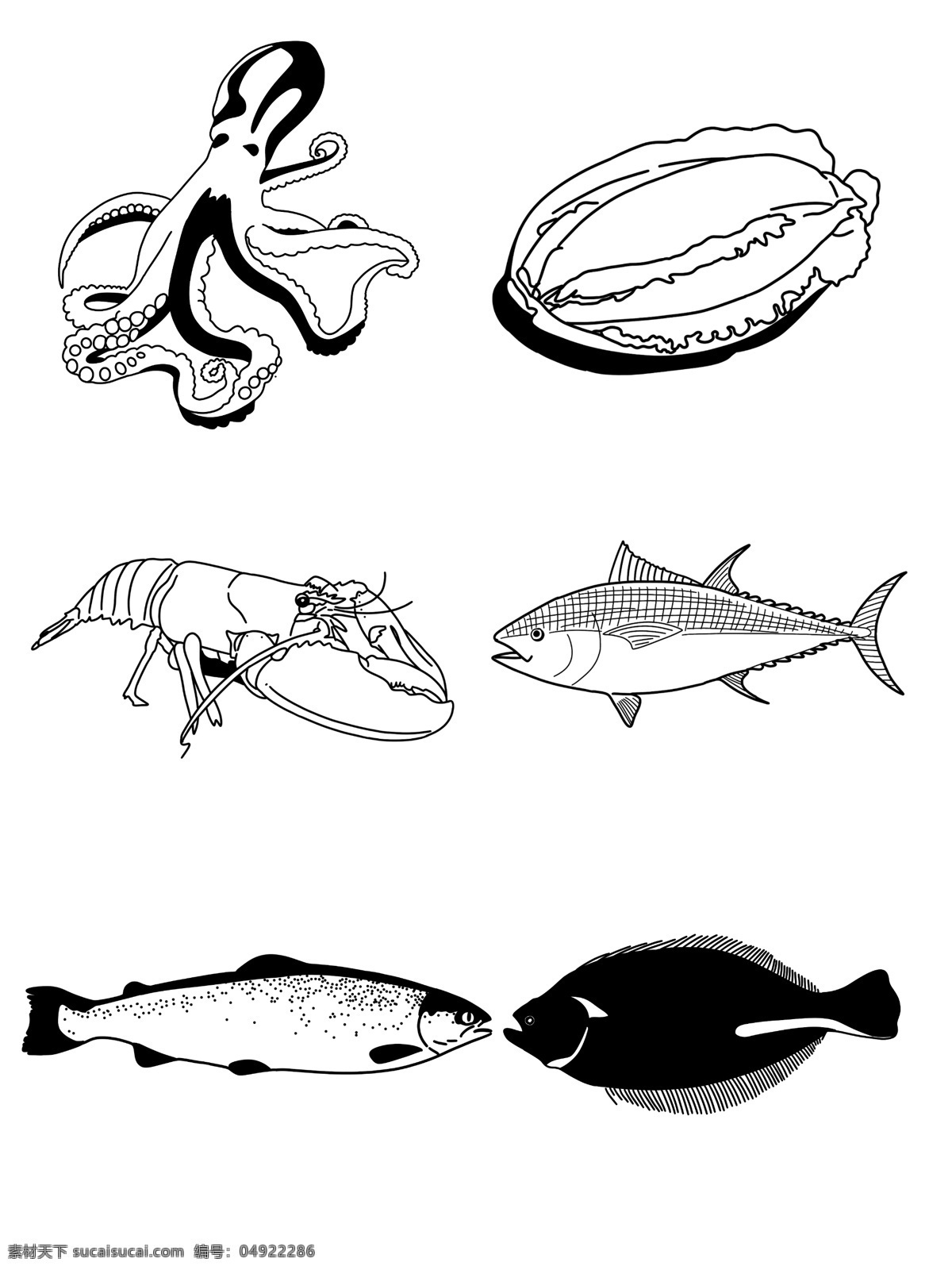 海鲜 黑白 手绘 八 爪 鱼 鲍鱼 龙虾 三文鱼 金枪鱼 海洋生物 shouhuin 八爪鱼 鸦片鱼 图标元素