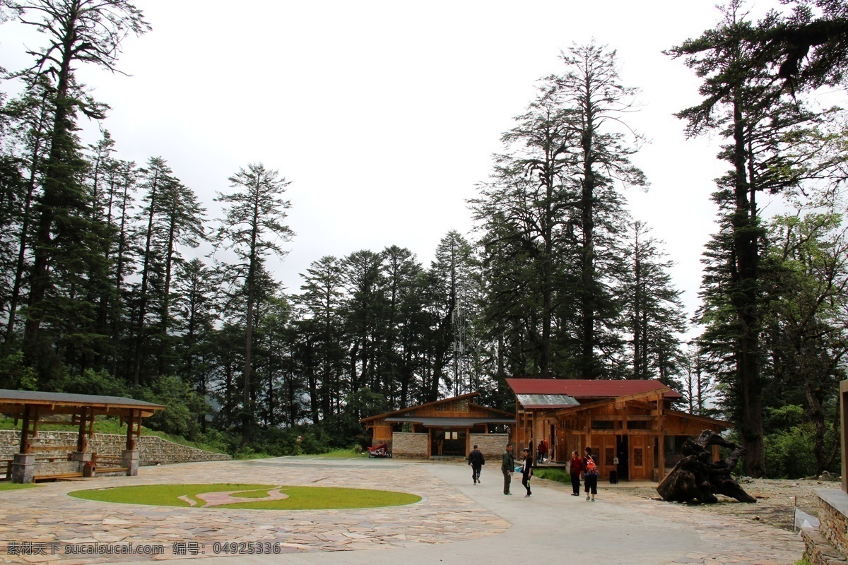 海螺沟森林 海螺沟风景 冰川 海螺沟 雪山 山脉 蓝天 白云 松树 海螺沟风光 国内旅游 旅游摄影 自然景观 自然风景