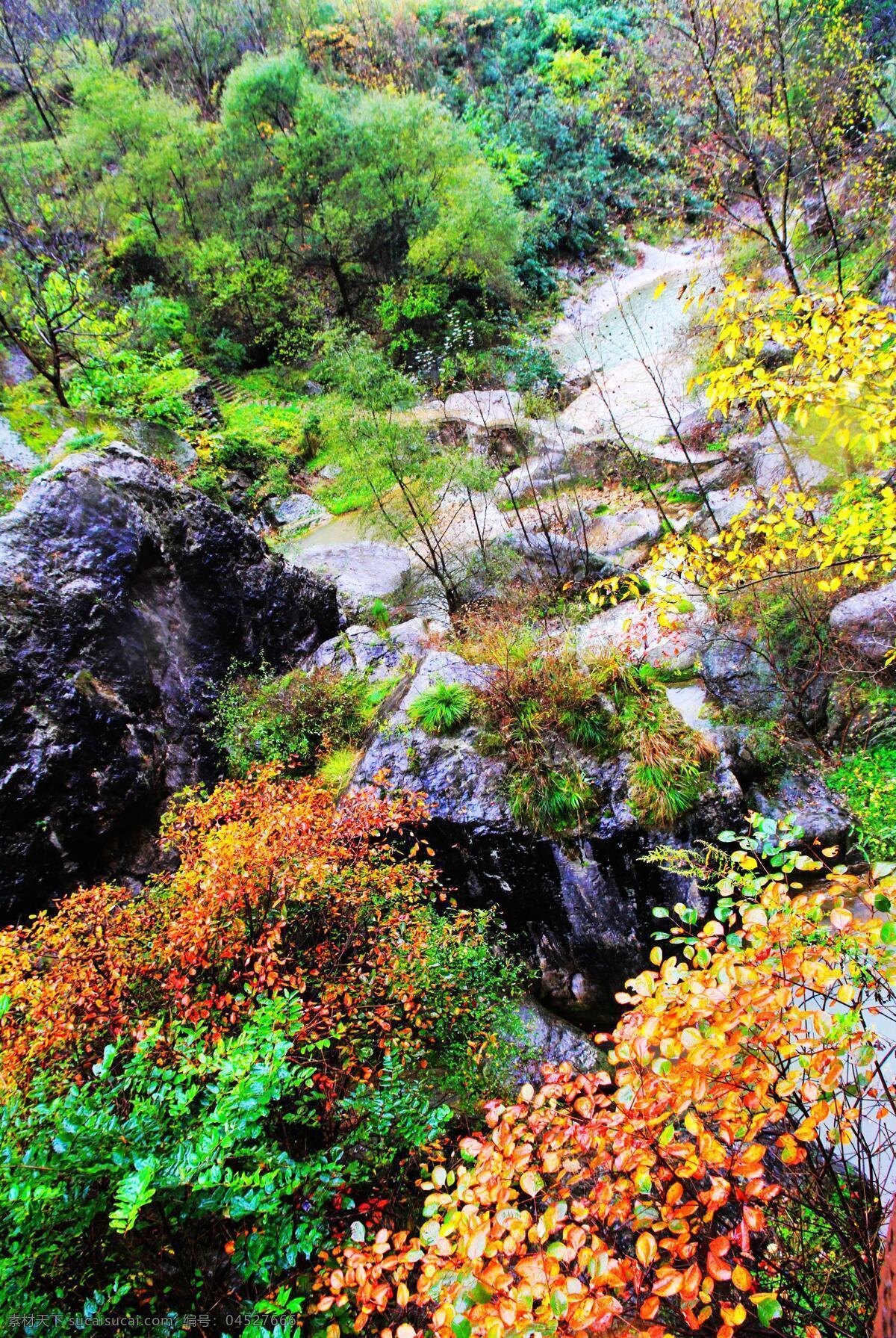 风景免费下载 风景 河水 花 树 小溪 背景图片