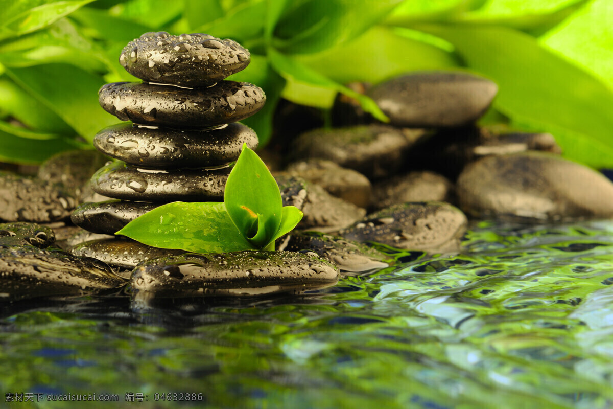 spa 美容 水珠 鹅卵石 按摩石 树叶 绿叶 叶子 清澈 清水 纯净水 休闲 养生 娱乐休闲 生活百科
