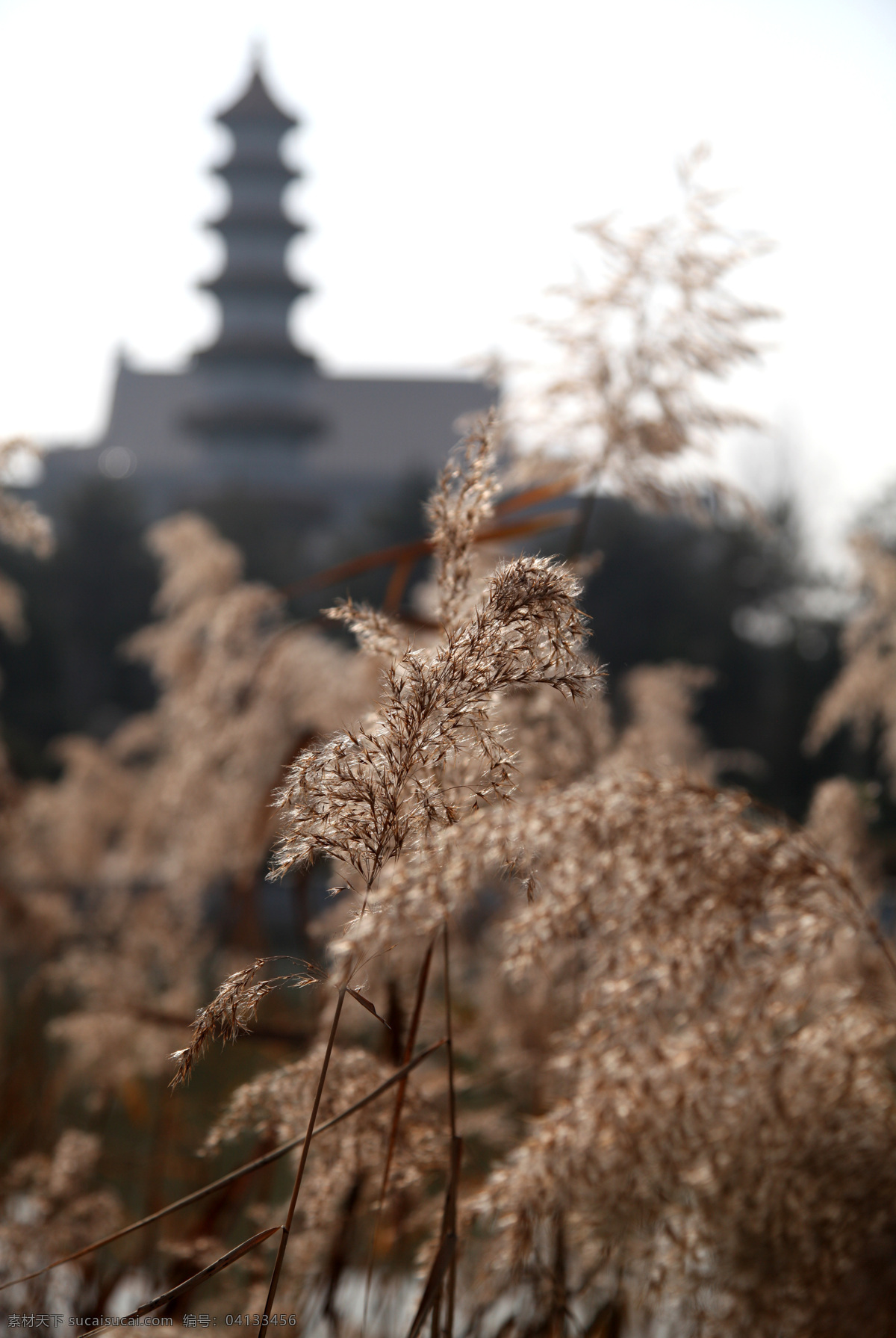 重阳宫 重阳万寿宫 祖庵 全真派 王重阳 钟馗 户县 道教 道文化景观 建筑景观 自然景观