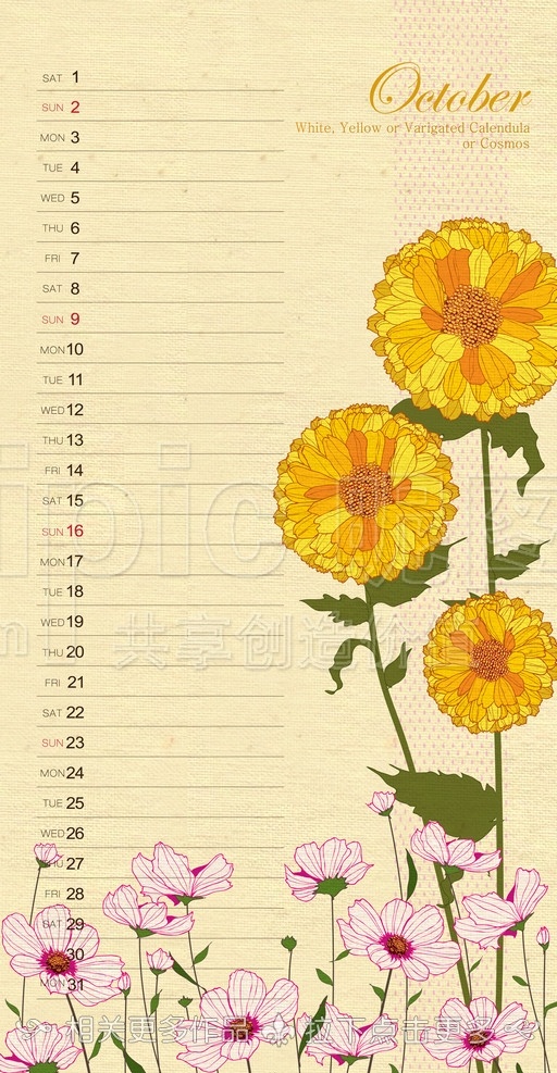 手绘花卉 日历 挂历 花插画 花卉插画 工笔画 工笔花卉 工笔花朵 分层 源文件