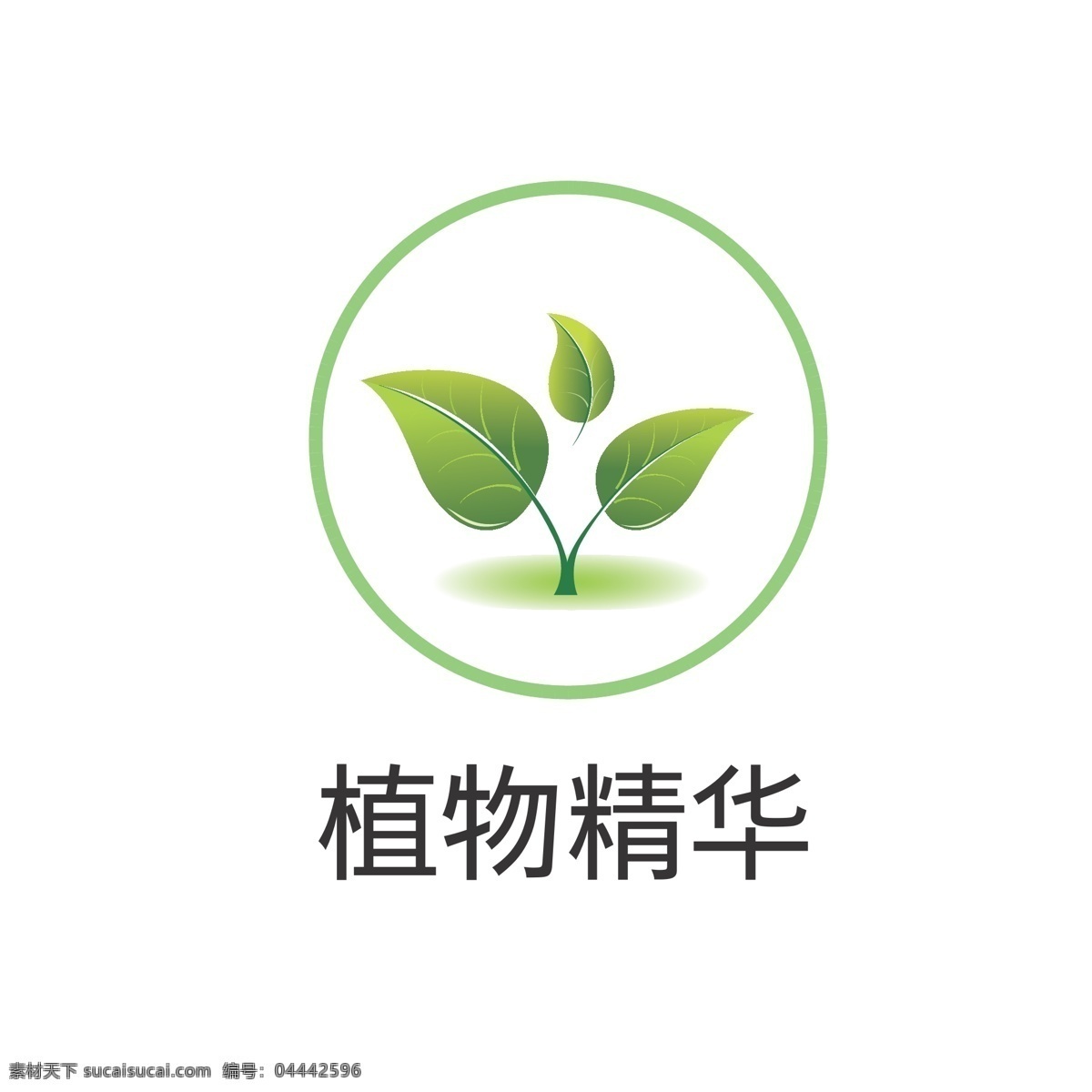 植物 精华 图标 植物精华图标 环保图标 绿叶标志 绿叶图标 植物精华