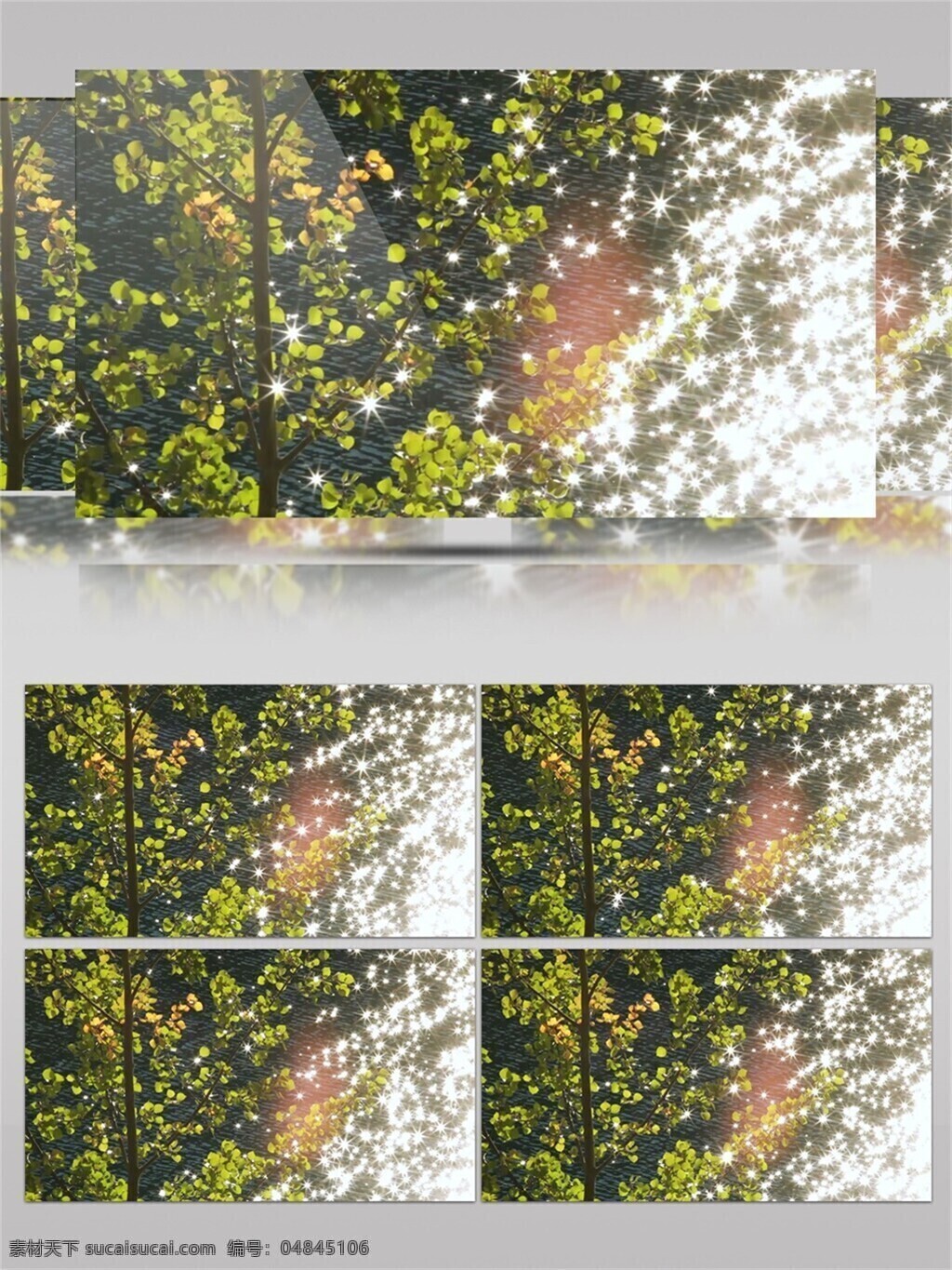 波光粼粼 河面 树叶 视频 唯美 太阳 绿叶 树木 清新 阳光照射 水面 刺眼 空气 环境美丽
