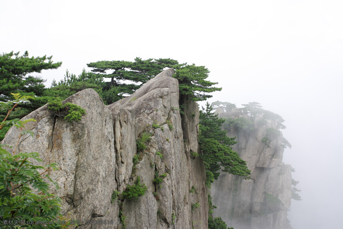 黄山 安徽 安徽黄山 迎客松 绿树 树木 雾气 浓雾 天空 白云 风景 风景名胜 自然景观