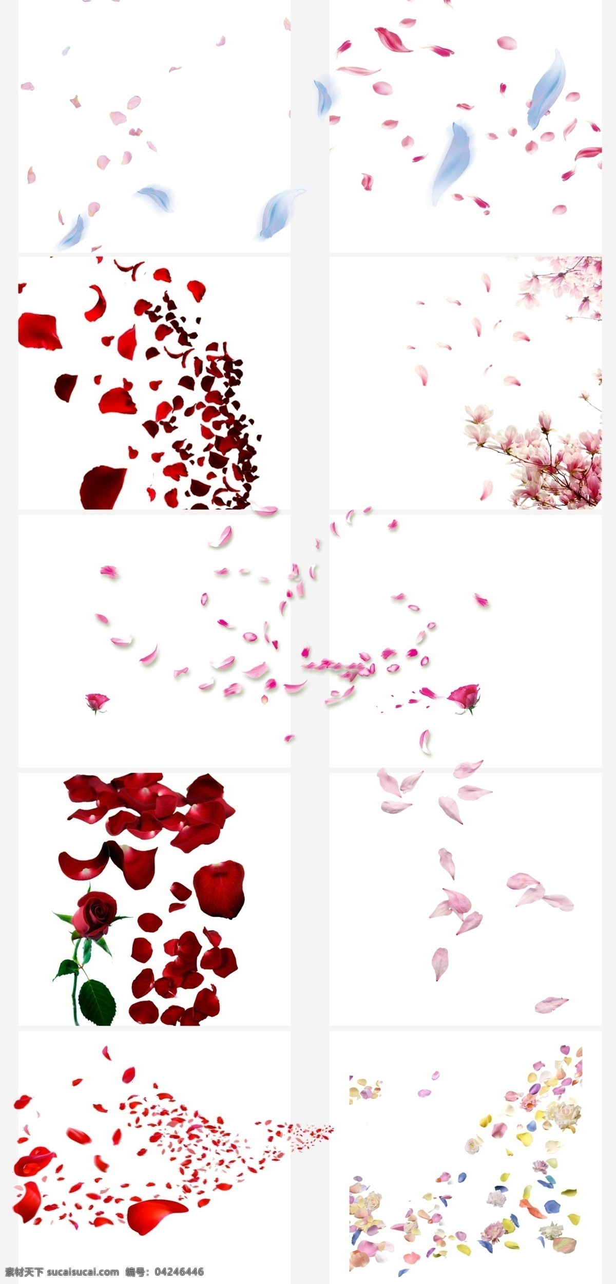 花瓣 节日鲜花 飘落 装饰 粉红 背景 分层 唯美 桃花瓣 浪漫 落花 白色