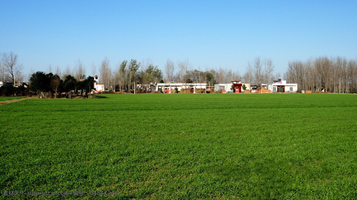 新农村 农田 村庄 田地 建筑 小树 田园风光 自然景观