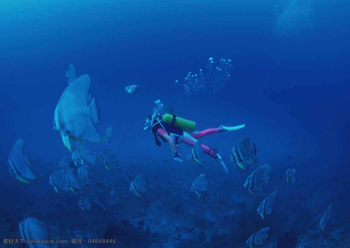 海底 世界 海水 海洋 潜水 生物世界 鱼类 底世界