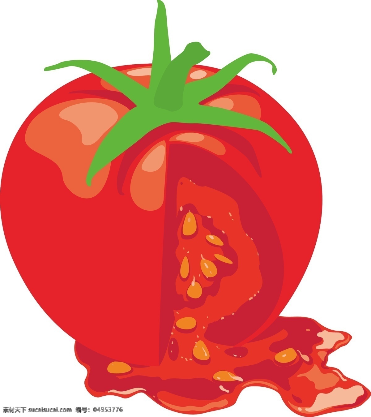 餐饮美食 番茄 生活百科 矢量图 模板下载 矢量 水果 日常生活